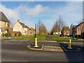 Footpath between Swallow Mews and Harrier Drive