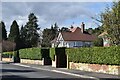 Tidy hedges in Elgin Road