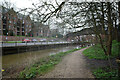 The River Foss seen from The Foss Walk, York