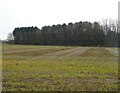 Stubble field towards woodland