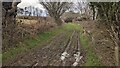 Path to Bircher Common