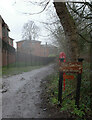 The Foss Walk, York