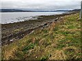 North Kessock coastline