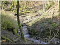 Small waterfall in Pinner Clough