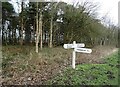 Fingerpost and woodland, Allerthorpe Common