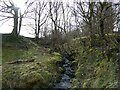 Stream beside the lane above Carno