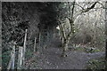 Footpath to Staplehurst