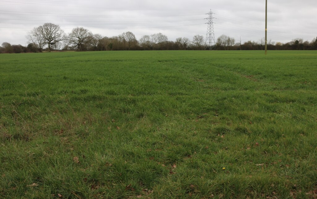 Field by Crows Lane, Woodham Ferrers © David Howard :: Geograph Britain ...