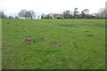 Field in front of Twyning Manor