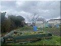 Allotments at Tir-y-Berth