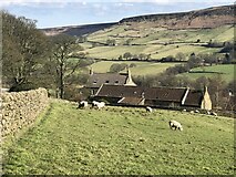 NZ6804 : Looking down on Stormy Hall, Danby Dale by David Robinson