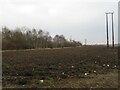 NS9665 : Newly ploughed field by Swinabbey Farm by M J Richardson