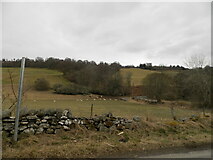 NH5128 : Field near Borlum Bridge by Douglas Nelson