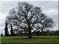 SP3171 : Oak tree, Stoneleigh Abbey by A J Paxton
