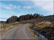 NH4850 : Clearfell area of Auchmore Wood by Julian Paren
