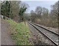 SO7483 : Severn Valley Railway near Highley by Mat Fascione