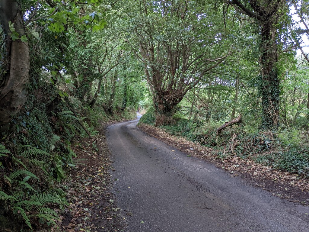 A tree-lined road at Trewoon © David Medcalf :: Geograph Britain and ...