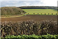 SP4328 : View south of Over Worton by David Howard