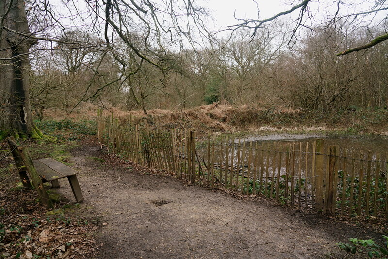 Banstead Wood © Peter Trimming :: Geograph Britain and Ireland