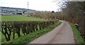 The hill down to Cronan