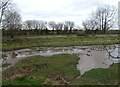 SJ2175 : Flooded land beside the North Wales Coast Line by JThomas
