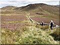SH7537 : The wall through the heather by David Medcalf