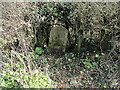 Old Milestone by B4058, south of South Lodge