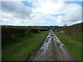 Looking back down a green lane to Pwllan farm