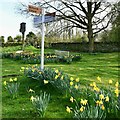 Thorpe Waterville: Village sign