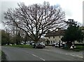 Houses at Widford