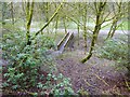 Footbridge across Boggart Hole Brook