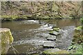 Stepping stones across the River Don