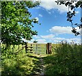 Gate along the Shropshire Way