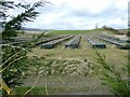 Old game bird rearing facility at Bettws Hall