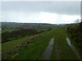 Hillside path above Tregynon, Powys