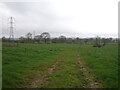 Farm track, Dunham-on-the-Hill