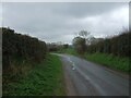 Approaching bend on Manley Lane