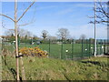 Artificial football pitch on Exeter Road