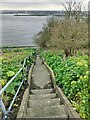 Stairs near Knotts Flats, Tynemouth