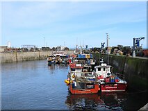 NU2232 : Boats in Seahouses Harbour by Matthew Chadwick