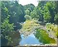 River Nidd