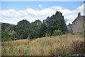 Rough grassland, Summerbridge