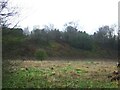 Grazing and former railway embankment