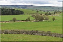 SD9151 : Valley View near Low Trenet Laithe by David Martin