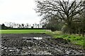 Bittering: Muddy field