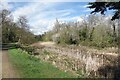 Empty Lake, Wanstead Park