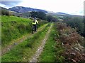 A bridleway above Nantlle