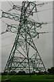 Oldbury-on-Severn : Grassy Field & Pylons