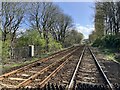 Newcastle and Carlisle Railway at Haugh Lane