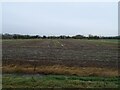 Field north of Tarvin Road